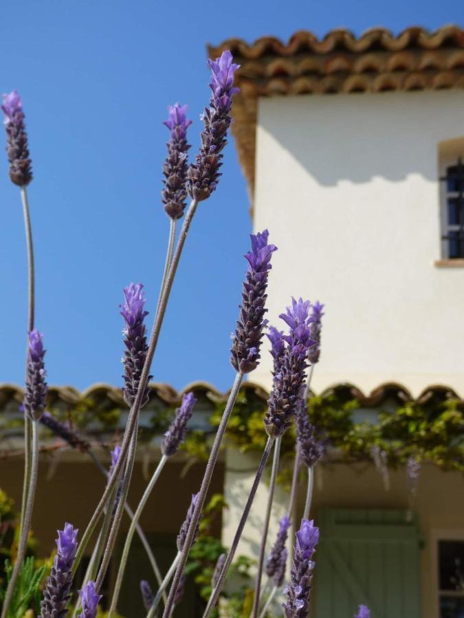 Bed and Breakfast Azurea Valbonne Exterior foto